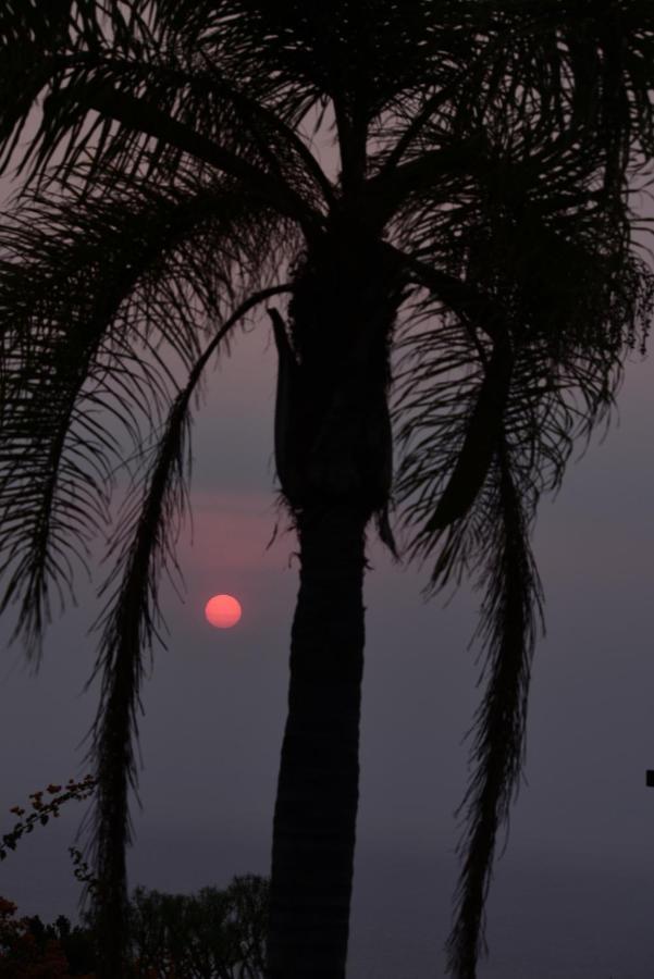 Apto. Dulia Puerto Rico  Esterno foto
